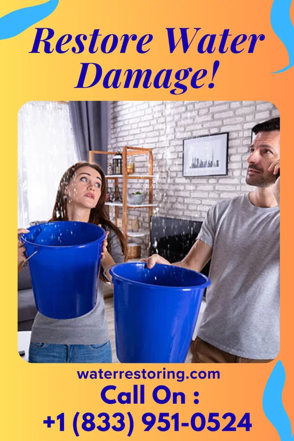 water restoration Total Water Repair Company Dysart