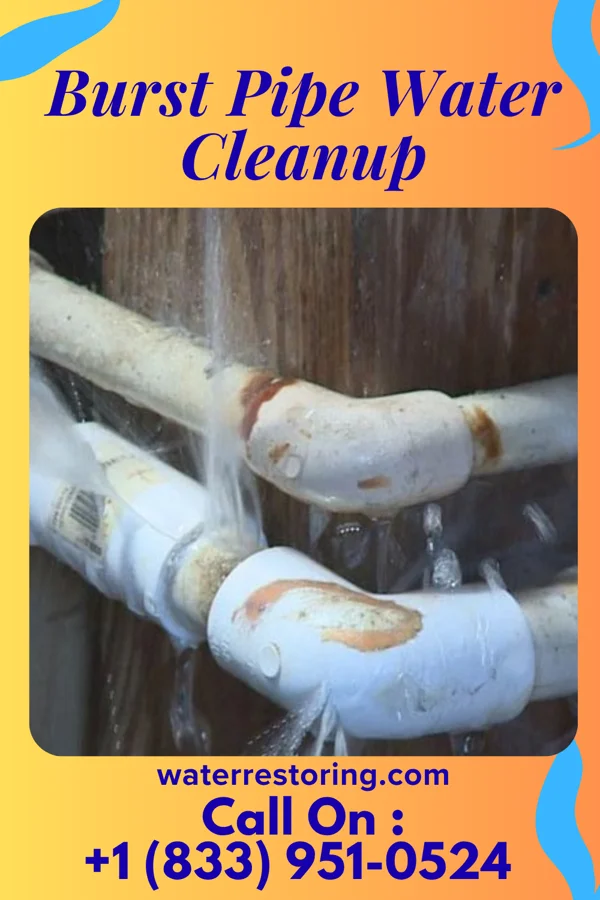 Burst Pipe Water Cleanup in Dysart, IA