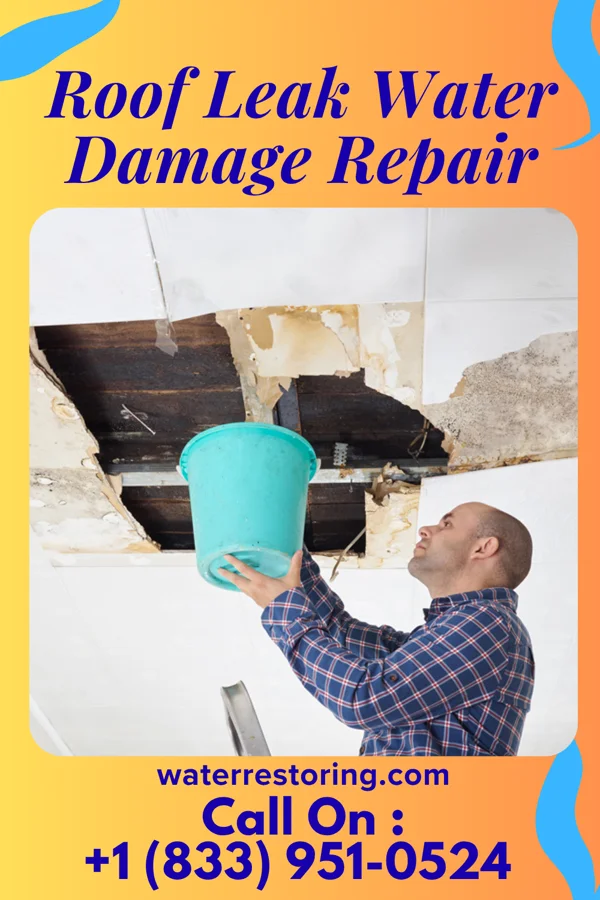 Roof Leak Water Damage Repair in Dysart, IA