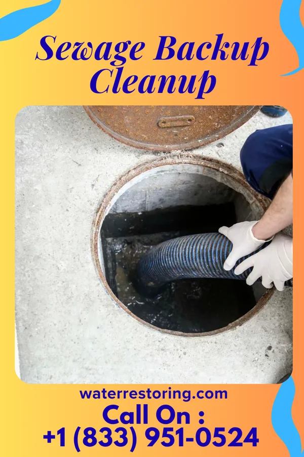 Sewage Backup Cleanup in Dysart, IA