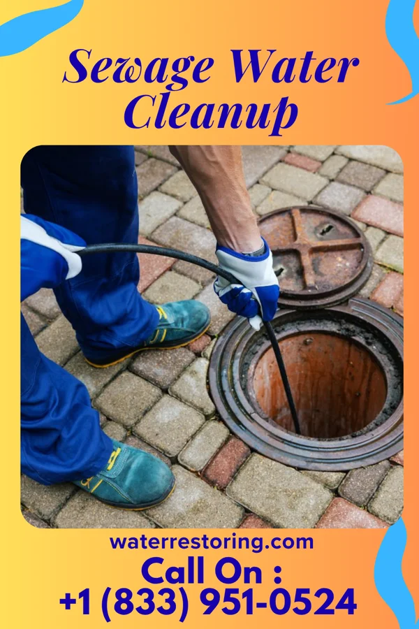 Sewage Water Cleanup in Dysart, IA